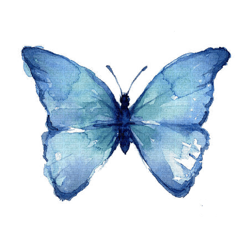 blue butterfly Bb2 - zdarma png