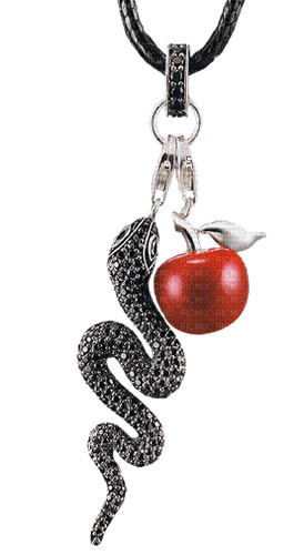 Snake Apple Red Silver Black Deco - Bogusia - 免费PNG