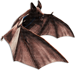 soave deco bat gothic halloween brown - png gratis