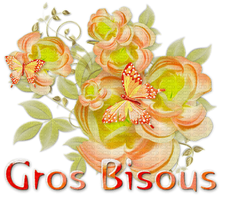Gros bisous - png gratuito