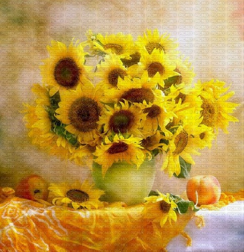Sunflower  background - бесплатно png