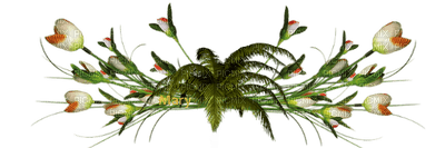 plants katrin - 免费PNG