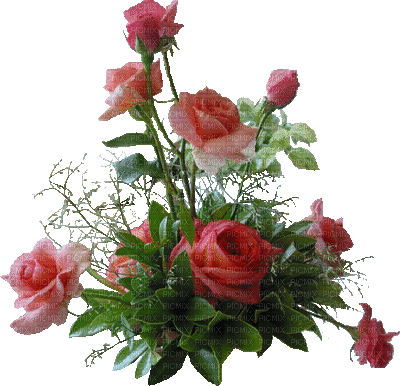 patymirabelle fleurs rose - GIF animasi gratis
