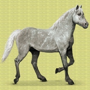 cheval Mercure - PNG gratuit