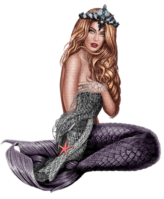 mermaid grey bp - Free PNG