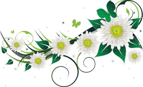 white flowers 3 - zdarma png