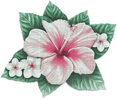 soave deco summer tropical flowers pink green - PNG gratuit