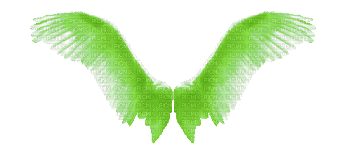 Angel Wings - Free animated GIF