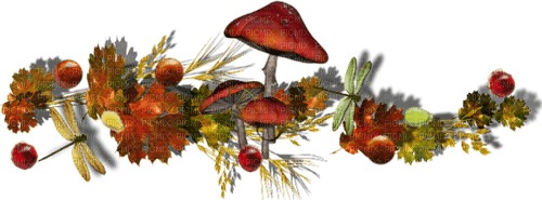 Herbst, Autumn, Pilze - PNG gratuit