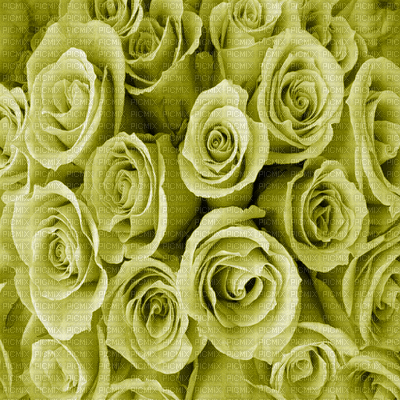 Kaz_Creations Deco Flowers  Backgrounds Background Colours - 免费动画 GIF