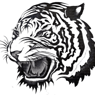 tiger paint paintinglounge - δωρεάν png