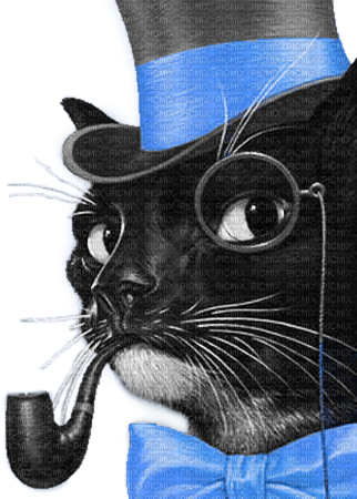 soave cat animals vintage deco black white blue - PNG gratuit