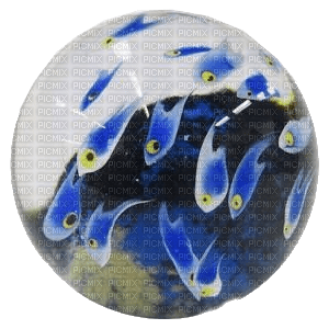 cool fish marble - безплатен png