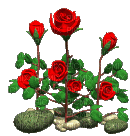 fle fleure rose - GIF animasi gratis