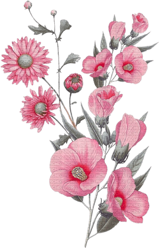 pink flowers deco - PNG gratuit