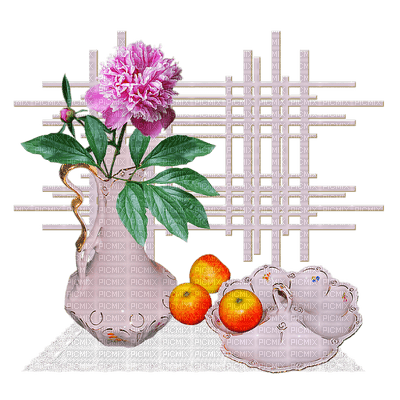 minou-flower-fruit - PNG gratuit