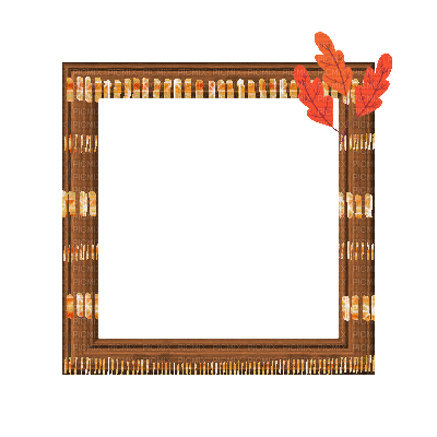 Small Orange Frame - Ingyenes animált GIF