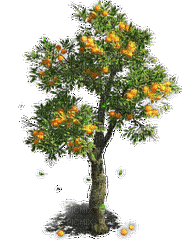 arbre - GIF animasi gratis