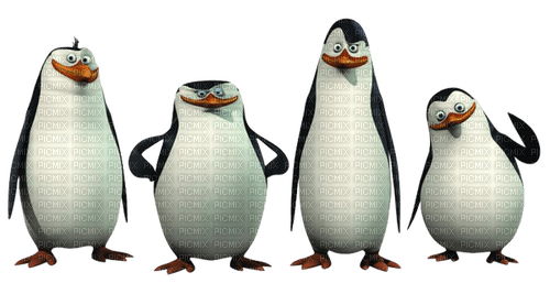 Pinguin 🐧 - фрее пнг