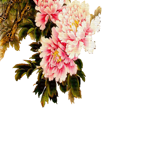 Y.A.M._Japan Spring Flowers Decor - GIF animé gratuit
