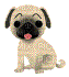 Pug - Zdarma animovaný GIF