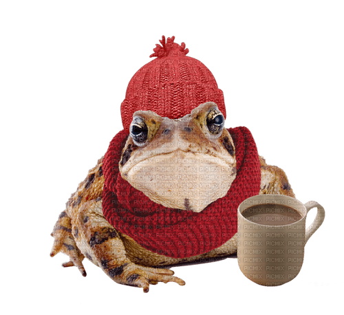 Toad with winter hat and scarf and hot chocolate - besplatni png