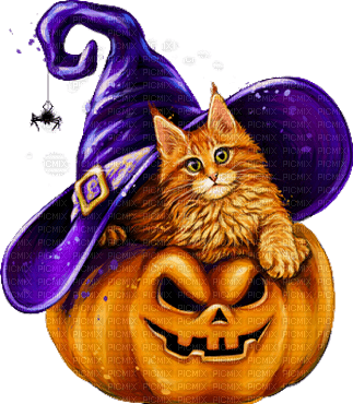 halloween cat by nataliplus - бесплатно png