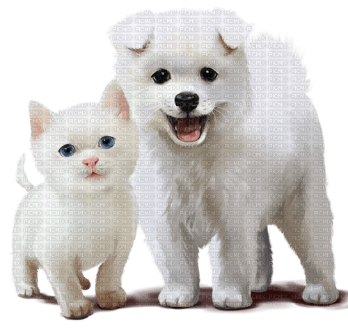 loly33 chien chat - zdarma png