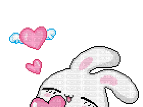 bunny - Besplatni animirani GIF