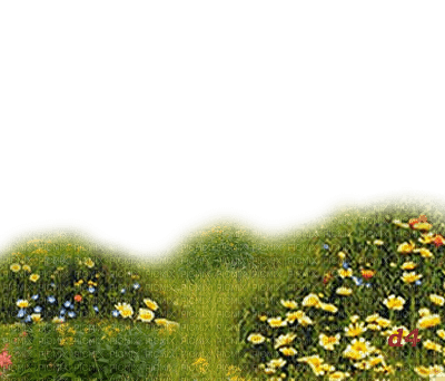hierba flores transparente  dubravka4 - бесплатно png