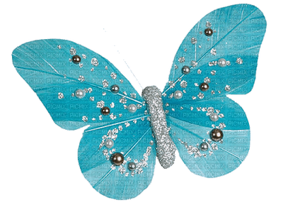 Tournesol94 papillon - nemokama png