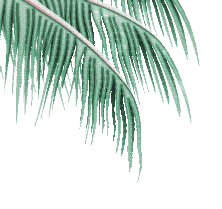 soave deco summer palm border animated green - Besplatni animirani GIF
