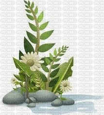 MMarcia flores deco - PNG gratuit