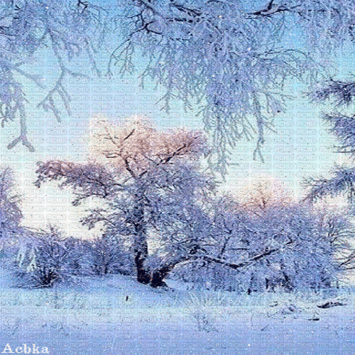 winter  background by nataliplus - GIF animate gratis