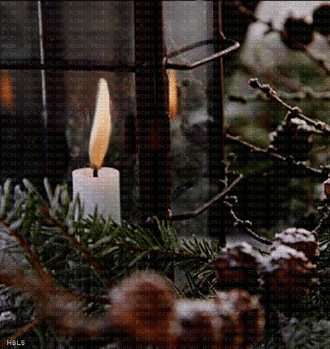 Background Winter Candle - GIF animado grátis