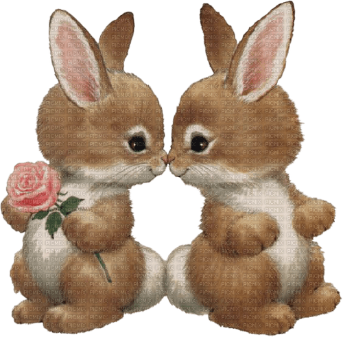 sweet bunny in love - besplatni png
