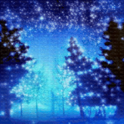 Forest at Night - GIF เคลื่อนไหวฟรี