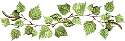 Blätter - Nemokamas animacinis gif