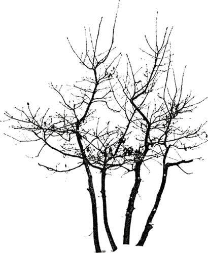 Осенние деревья - безплатен png