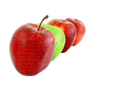 Kaz_Creations Fruit Apples Apple - 免费PNG