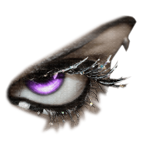 Auge - Free PNG