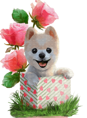 Kaz_Creations Dogs Dog Pup 🐶 Deco Flowers Flower Colours - zadarmo png