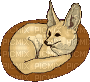 fennec fox - Бесплатный анимированный гифка