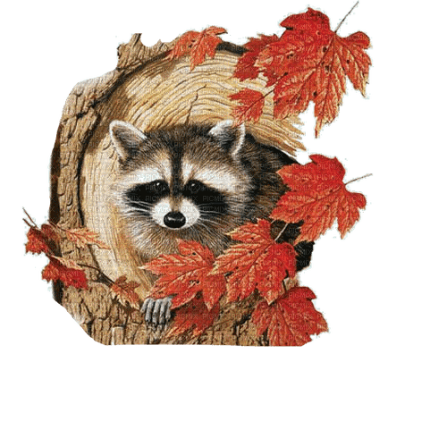charmille _ animaux - kostenlos png