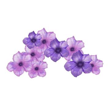 purple flowers - ilmainen png
