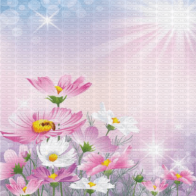 background two katrin - kostenlos png