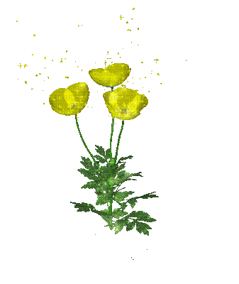fleurs - Darmowy animowany GIF