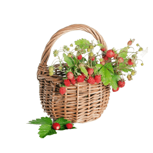 flower,fruit, strawberry,vase - gratis png