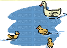 duck  gif carnards - Free animated GIF