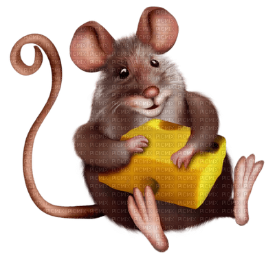 Kaz_Creations Cartoons Cartoon Mouse - bezmaksas png